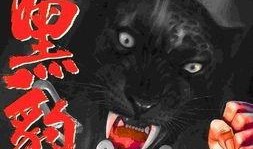 黑豹漫画,非洲英雄的崛起与荣耀