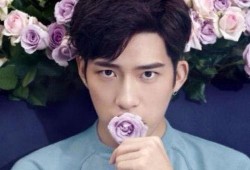 明星娱乐圈吃瓜节目推荐,明星幕后故事大起底